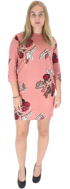 ash rose dress